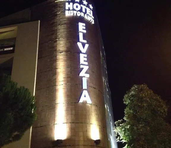 ホテル Elvezia 3*